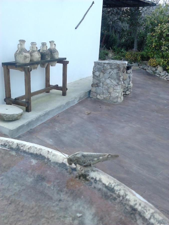 Casa Rural El Cubillo Vejer de la Frontera Eksteriør billede